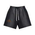 Sun Fade Distressed Shorts